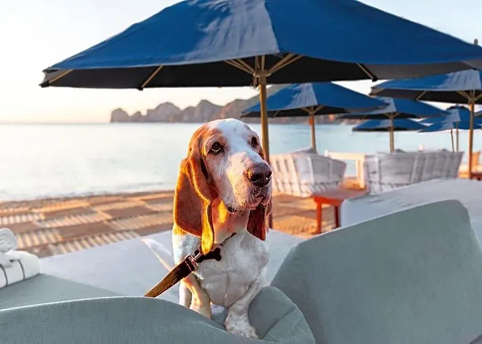 Corazon Cabo, A Noble House Hotel Cabo San Lucas